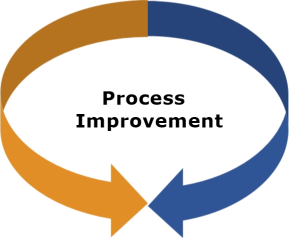 CEO Process Improvement Down 1  57d85c3bf293a