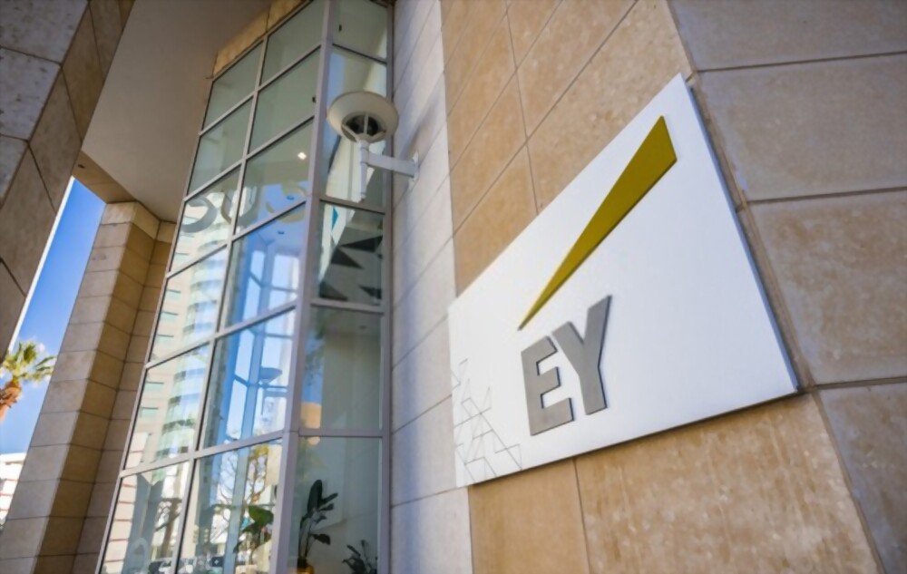 EY Rules the Roost in Public Company Audit Clients