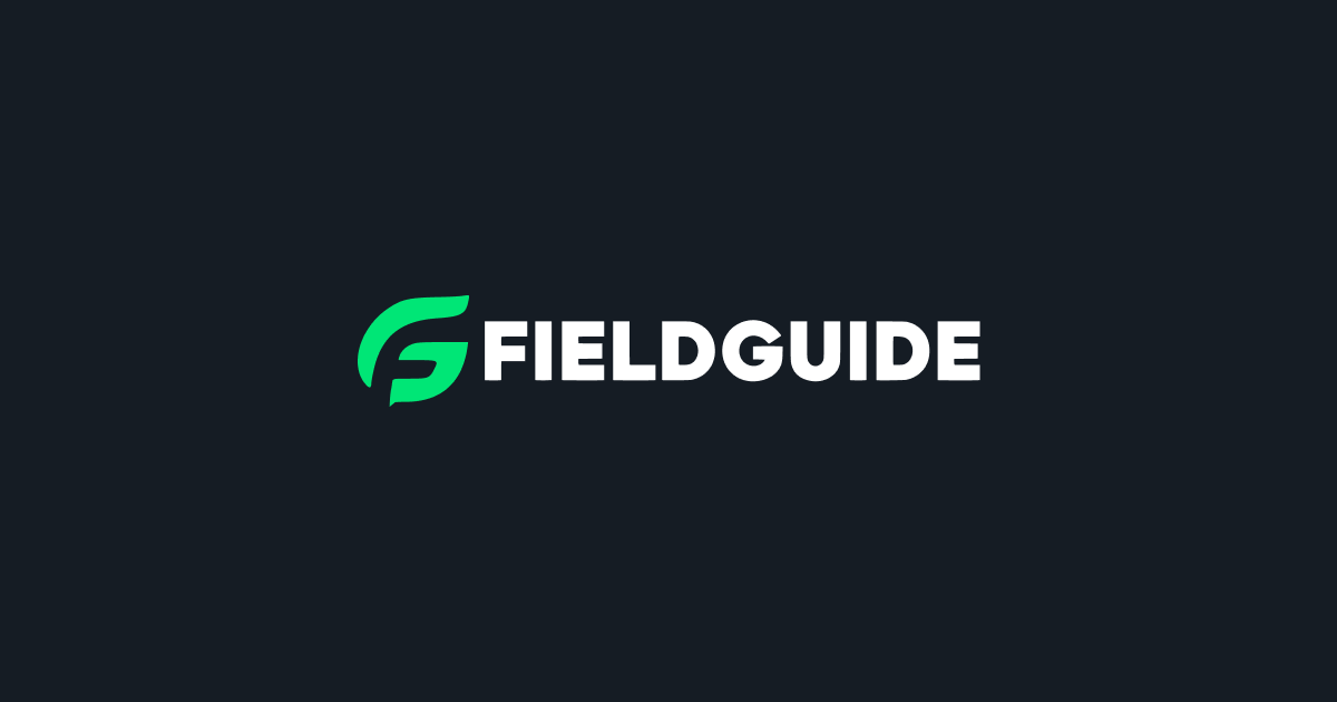 Fieldguide for Financial Audit – 2024 Innovation Award Finalist