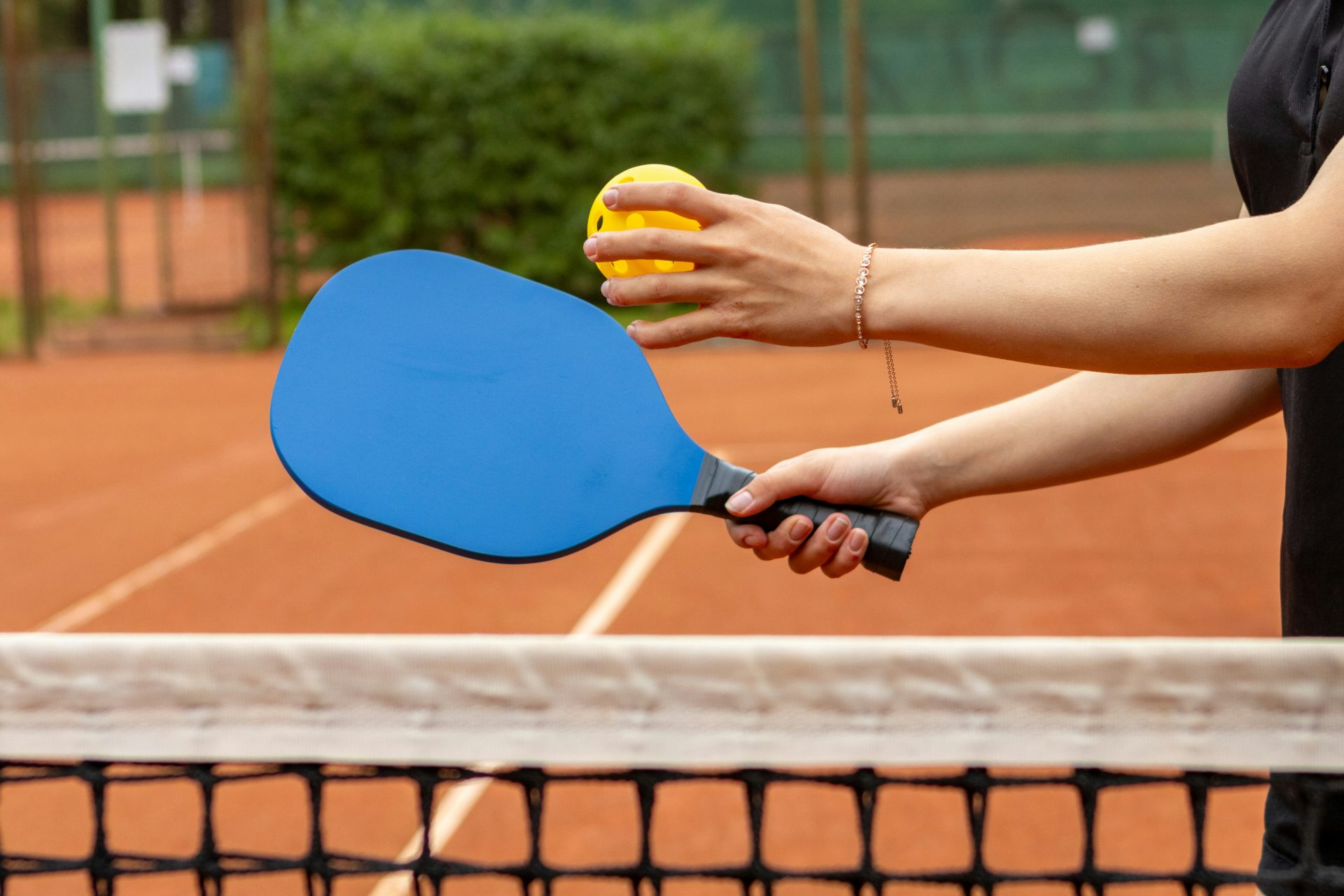 What Does Pickleball Have to Do with ChatGPT and Accounting? 