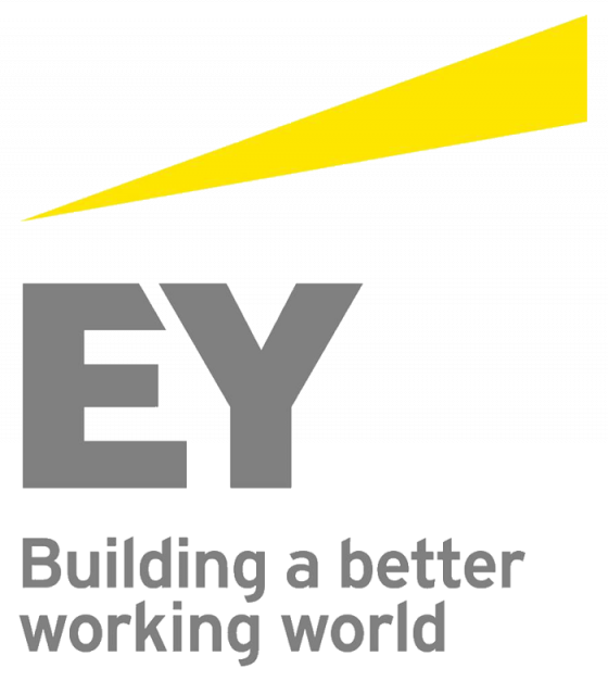 EY Launches New Advanced Portal System EY Interact CPA Practice Advisor