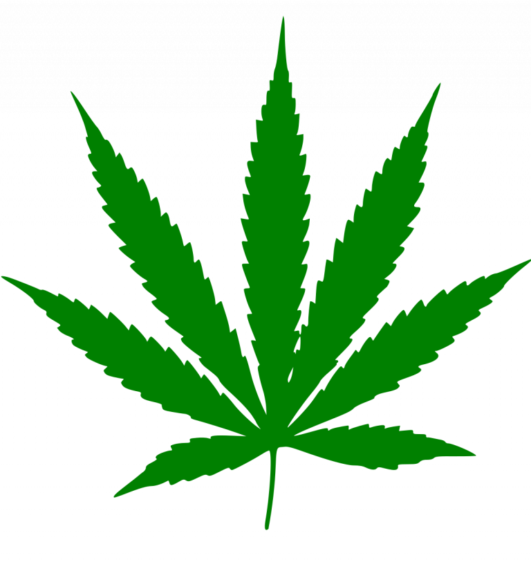 1200px Cannabis leaf svg 1  5ad6a37a4b936