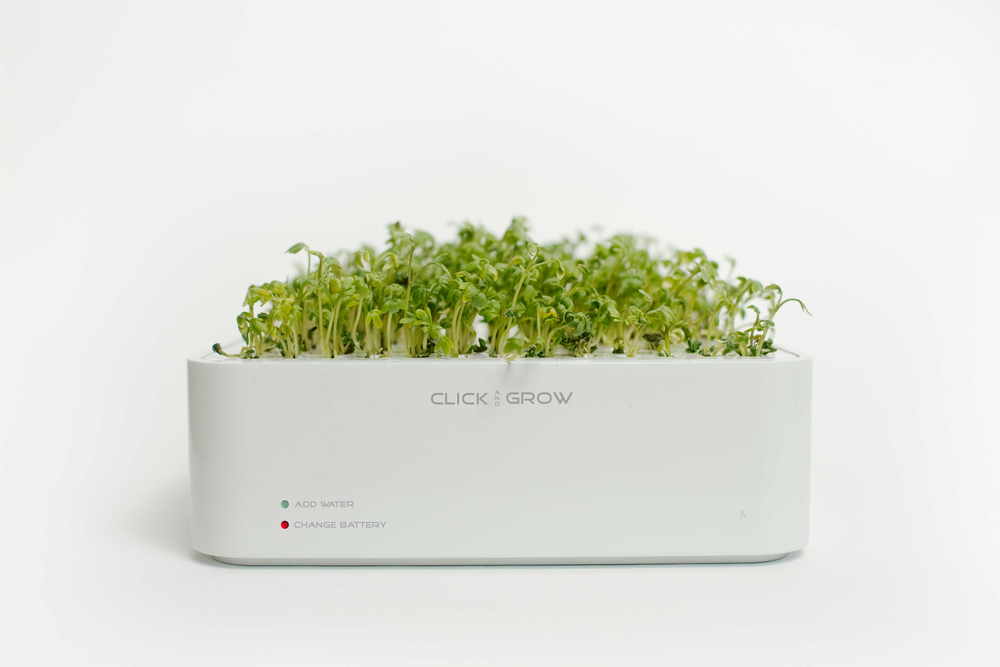 Click-and-Grow-pot-from-the-front1