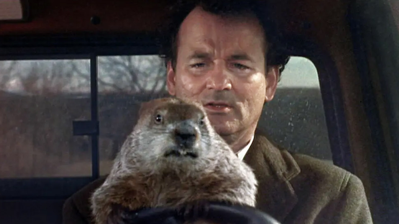 Breaking the Cycle: Groundhog Day On Repeat